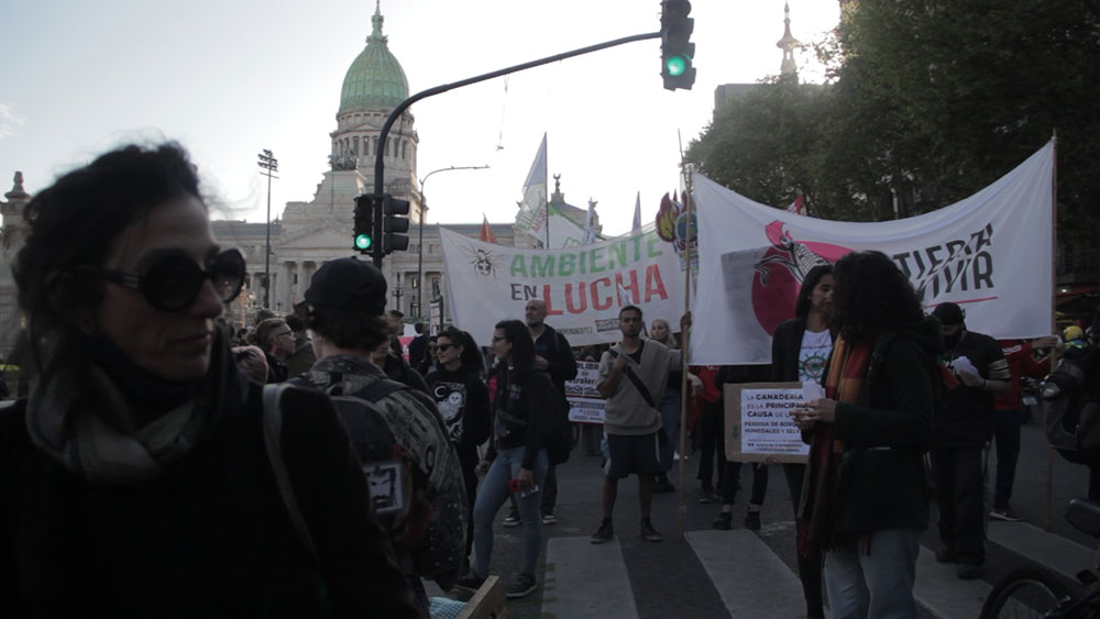 La lengua en la calle