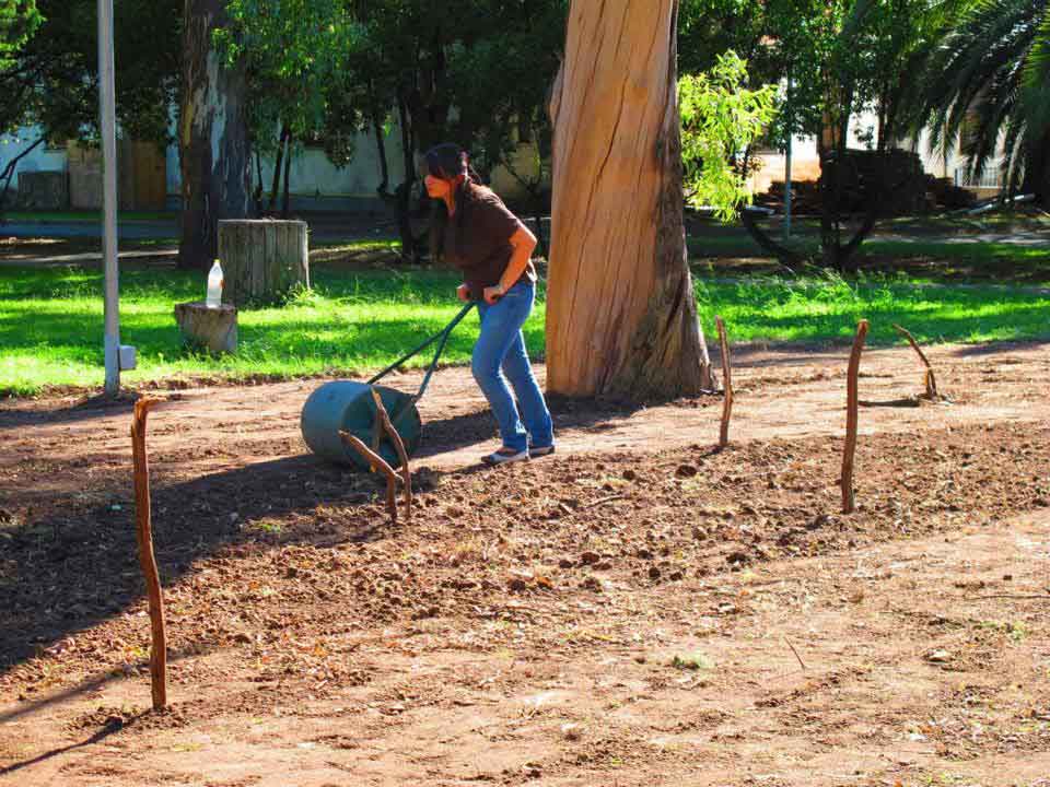 Huella, un laberinto de cactus, 2011-2015 Proyecto de Gabriela Vicente Irrazabal, Guido Leveratto y Natalia Jimena Pendás Sitio específico permanente, monumento vivo 400 m2 