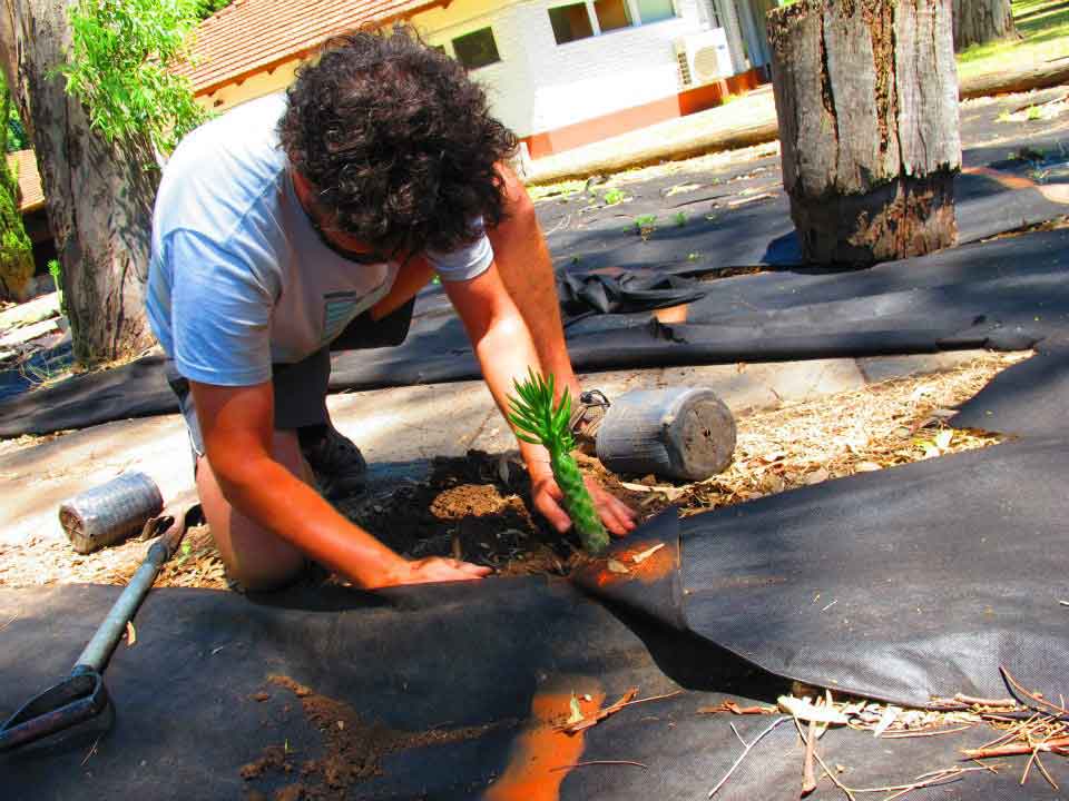 Huella, un laberinto de cactus, 2011-2015 Proyecto de Gabriela Vicente Irrazabal, Guido Leveratto y Natalia Jimena Pendás Sitio específico permanente, monumento vivo 400 m2 