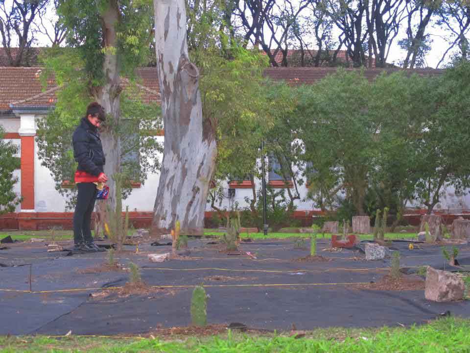 Huella, un laberinto de cactus, 2011-2015 Proyecto de Gabriela Vicente Irrazabal, Guido Leveratto y Natalia Jimena Pendás Sitio específico permanente, monumento vivo 400 m2 