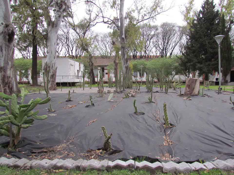 Huella, un laberinto de cactus, 2011-2015 Proyecto de Gabriela Vicente Irrazabal, Guido Leveratto y Natalia Jimena Pendás Sitio específico permanente, monumento vivo 400 m2 