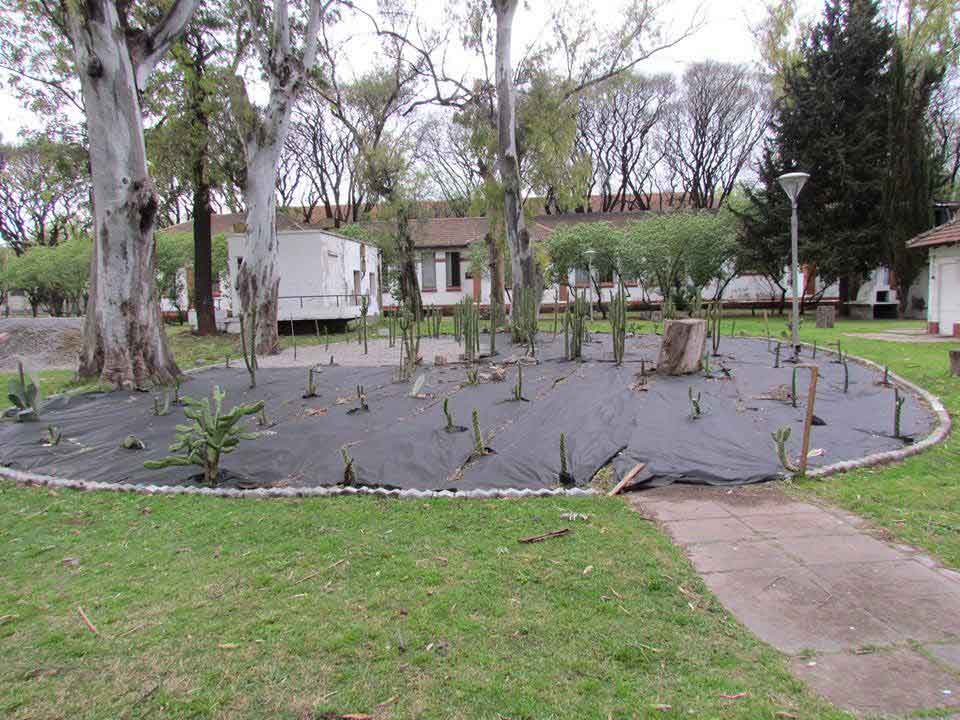 Huella, un laberinto de cactus, 2011-2015 Proyecto de Gabriela Vicente Irrazabal, Guido Leveratto y Natalia Jimena Pendás Sitio específico permanente, monumento vivo 400 m2 