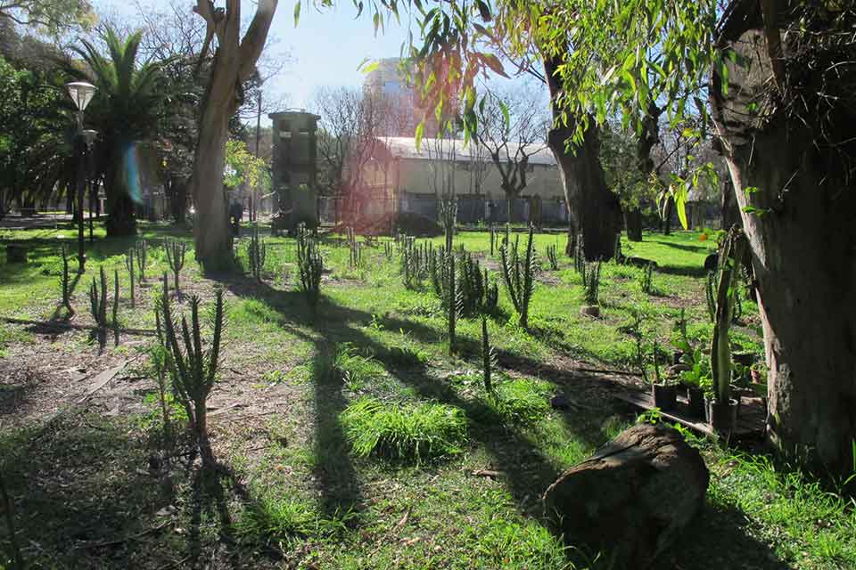 Huella, un laberinto de cactus, 2011-2015 Proyecto de Gabriela Vicente Irrazabal, Guido Leveratto y Natalia Jimena Pendás Sitio específico permanente, monumento vivo 400 m2 