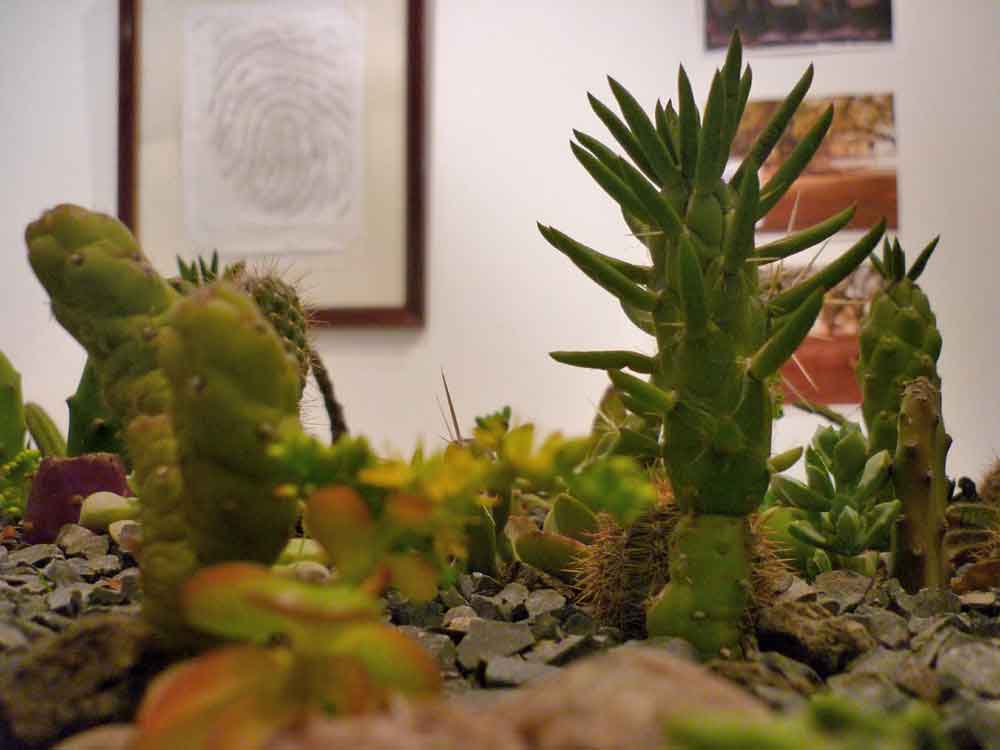 Huella, un laberinto de cactus, 2011-2015 Proyecto de Gabriela Vicente Irrazabal, Guido Leveratto y Natalia Jimena Pendás Sitio específico permanente, monumento vivo 400 m2 