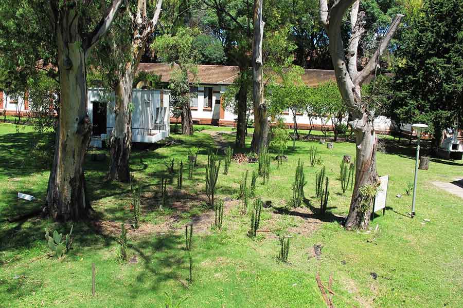 Huella, un laberinto de cactus, 2011-2015 Proyecto de Gabriela Vicente Irrazabal, Guido Leveratto y Natalia Jimena Pendás Sitio específico permanente, monumento vivo 400 m2 