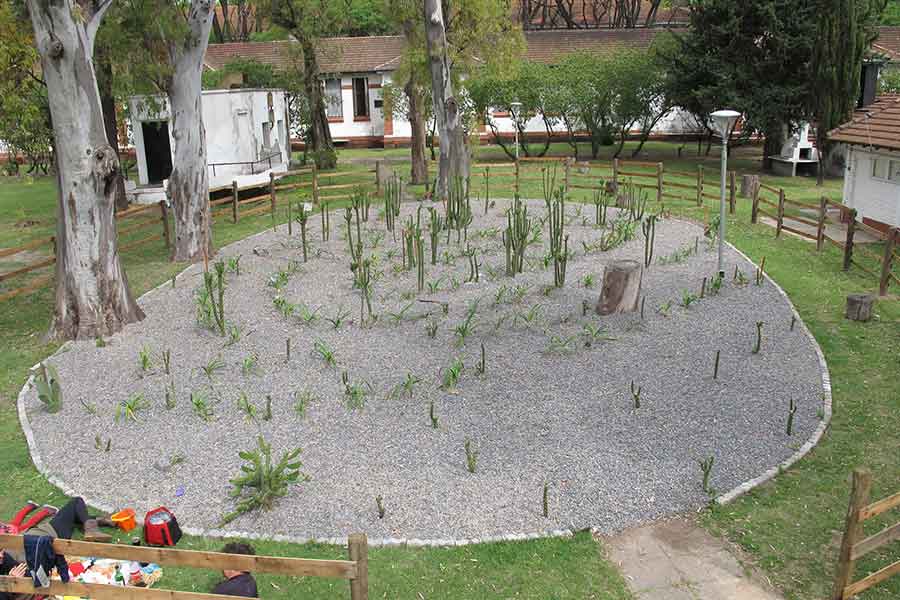 Huella, un laberinto de cactus, 2011-2015 Proyecto de Gabriela Vicente Irrazabal, Guido Leveratto y Natalia Jimena Pendás Sitio específico permanente, monumento vivo 400 m2 