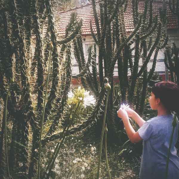 Huella, un laberinto de cactus, 2011-2015 Proyecto de Gabriela Vicente Irrazabal, Guido Leveratto y Natalia Jimena Pendás Sitio específico permanente, monumento vivo 400 m2 