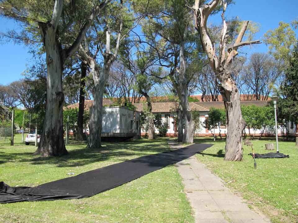 Huella, un laberinto de cactus, 2011-2015 Proyecto de Gabriela Vicente Irrazabal, Guido Leveratto y Natalia Jimena Pendás Sitio específico permanente, monumento vivo 400 m2 