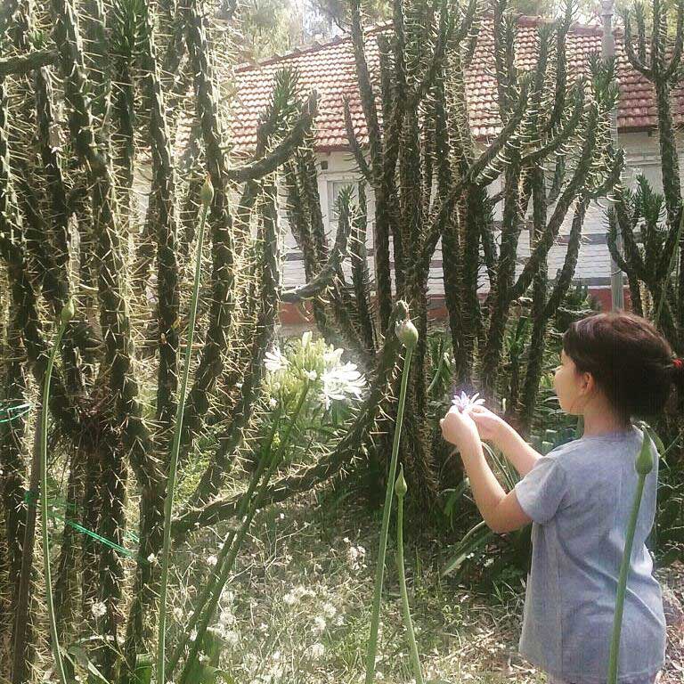 Gabriela Vicente Irrazabal, Guido Leveratto y Natalia Jimena Pendás
Proyecto: Huella, un laberinto de cactus, 2011-2015
Sitio específico permanente, monumento vivo
400 m2
