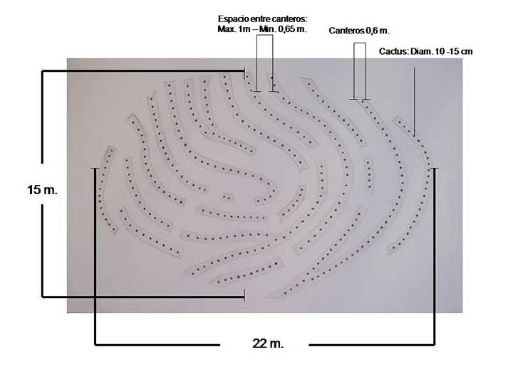 Gabriela Vicente Irrazabal, Guido Leveratto y Natalia Jimena Pendás
Proyecto: Huella, un laberinto de cactus, 2011-2015
Sitio específico permanente, monumento vivo
400 m2
